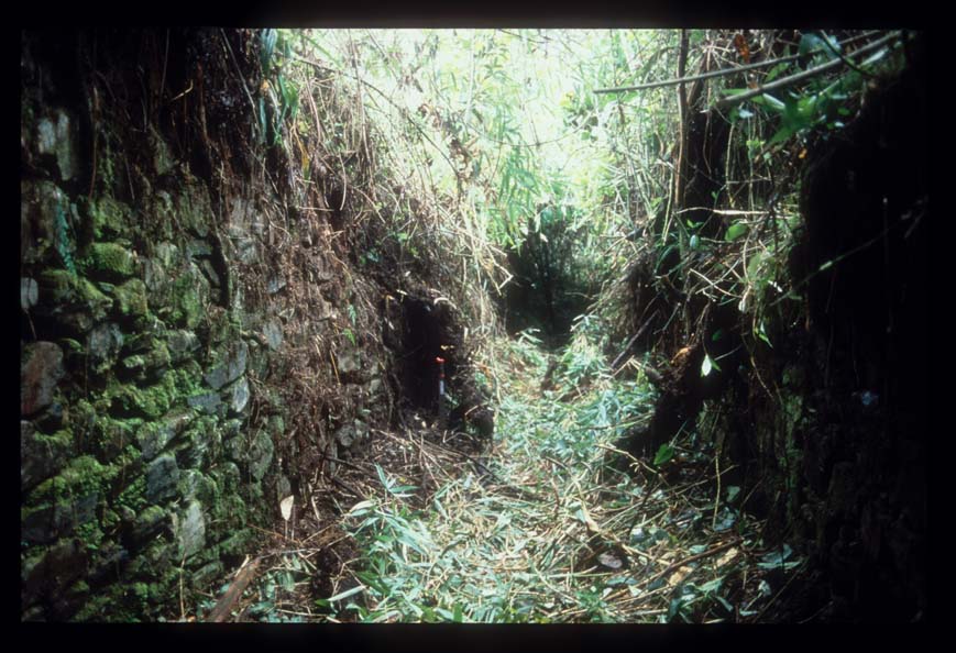 sunken walkway through Llactapata site 